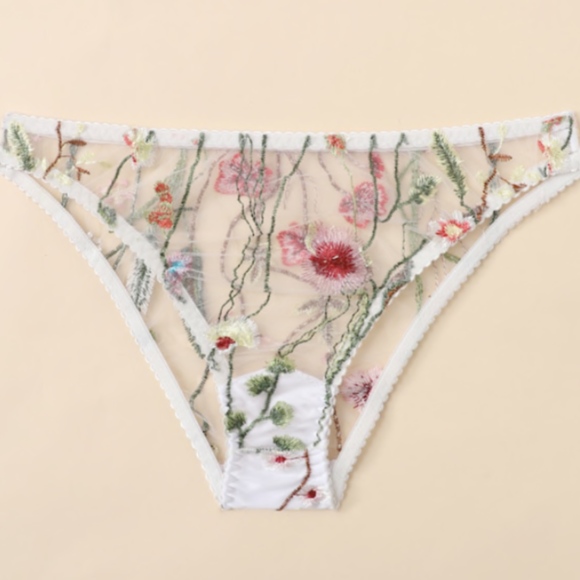 Floral Embroidered Mesh Sheer Panty - Picture 5 of 5